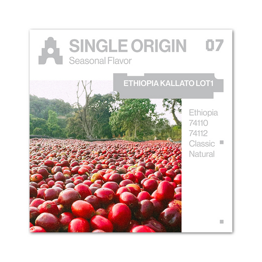 【預購】ASTERUM SINGLE ORIGIN 07 COFFEE BEAN 200g